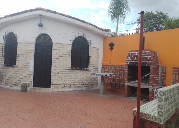 IMAGEN 1